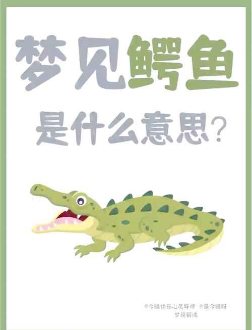 梦见打鳄鱼是什么意思