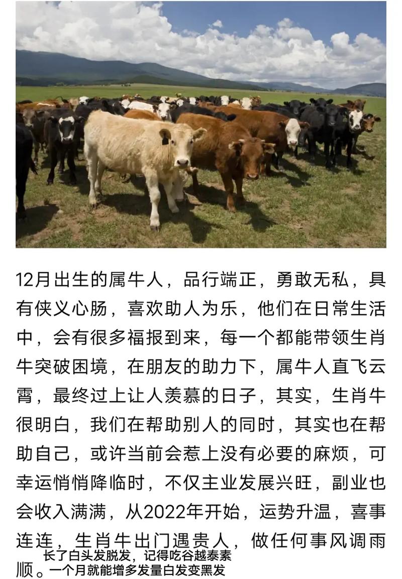 2009年巳时出生的生肖属牛人是什么命,少年有福,颐享天年
