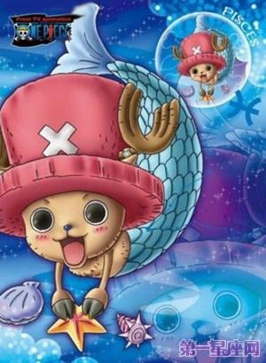 十二星座海贼王