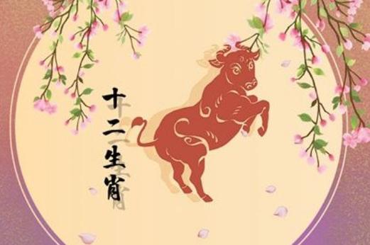 属牛哪天出生最好命