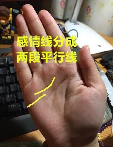 从手相看中年情感危机