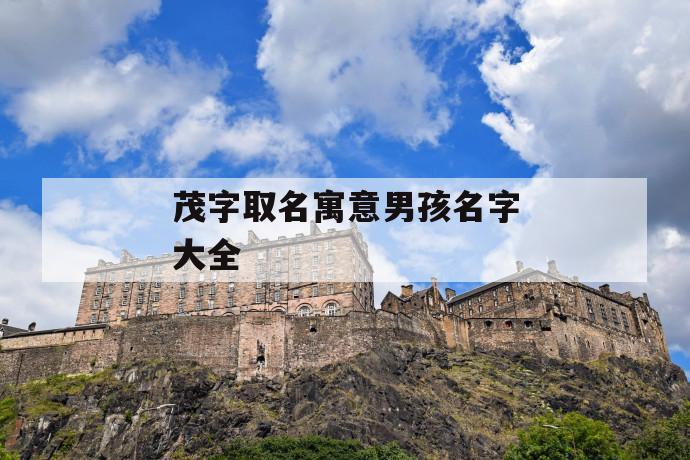 茂字取名男孩名字