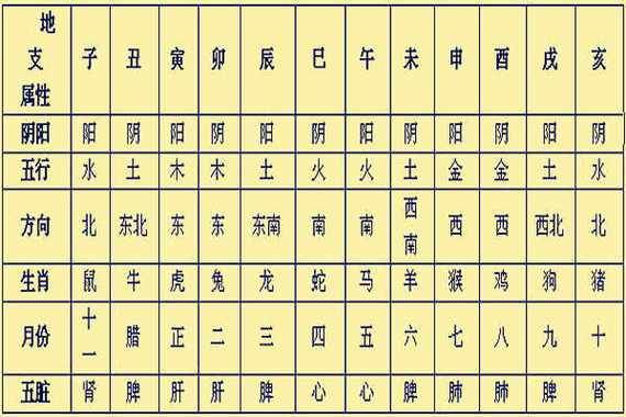 十二地支所代表的五行