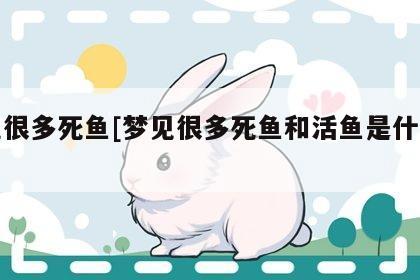 梦见好多死鱼是什么意思