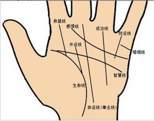 男人的左手的手相图解生命线