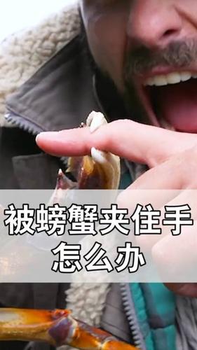 梦见被螃蟹夹手