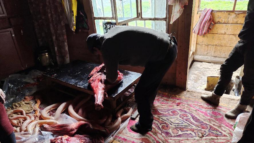 梦见马肉,梦见吃马肉好不好?