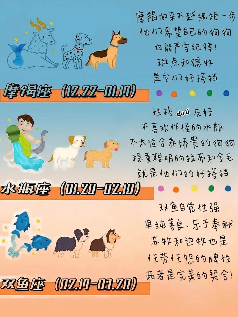 十二星座双鱼座喜欢什么狗狗