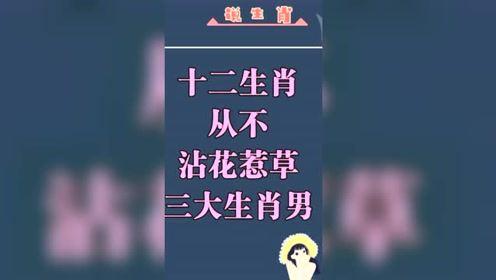 从不沾花惹草的三个生肖男