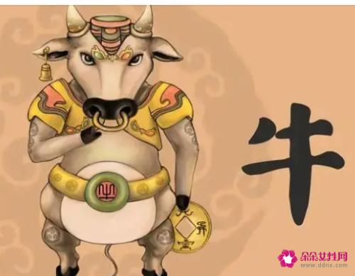 怎么收住属牛男生的心