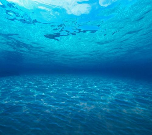海底