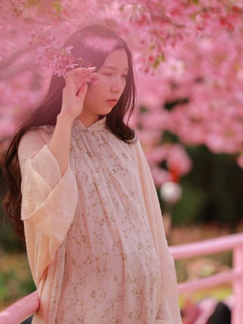 孕妇梦见樱花