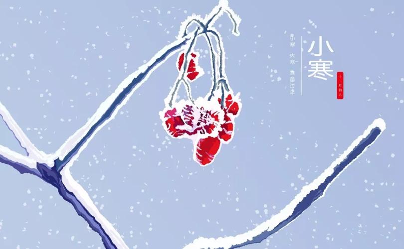 小寒的节气是开始数九了吗