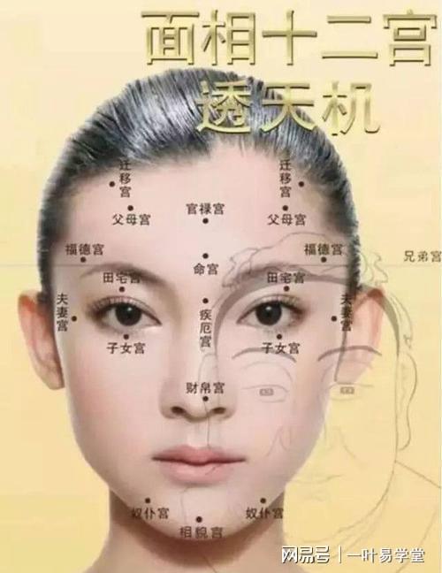 如何从面相看女人风流