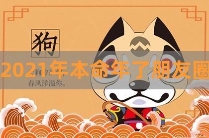 戊寅日主逢2021辛丑流年运势,新的一年财气顺利
