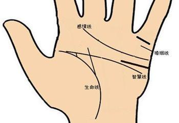 手相看你是否为人生赢家