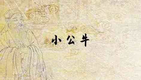 梦见小公牛