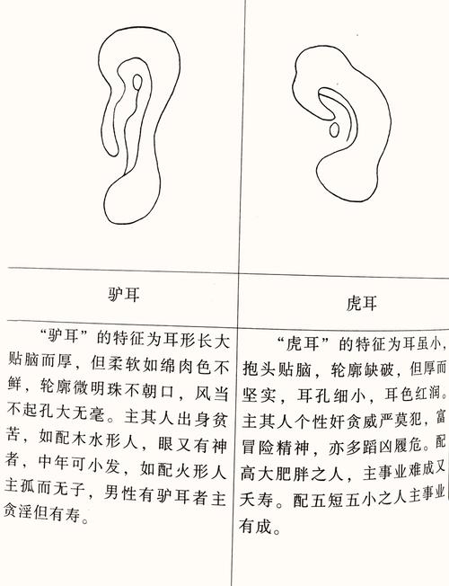 九种最富贵耳朵面相
