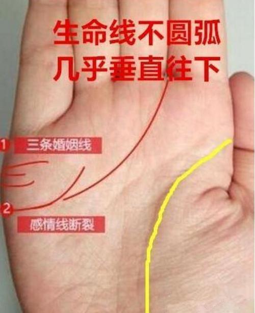 婚姻线分叉与智慧线相连