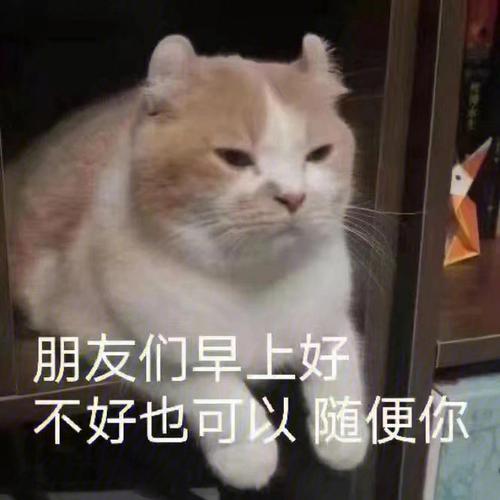 天顶星座金牛座看另一半,外貌看天顶还是上升