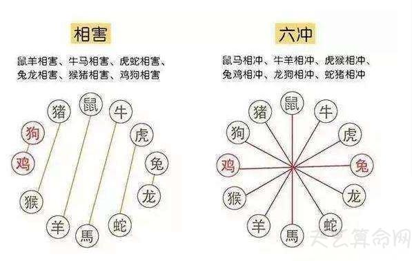 2016年十二生肖的注意事项