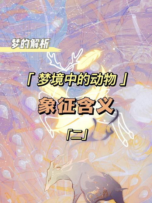梦见彩虹是什么征兆什么意思(梦的解析,暗示你交好运的梦境)