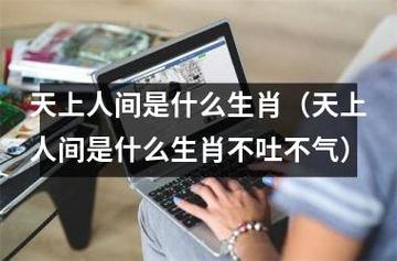 天上人间打一生肖