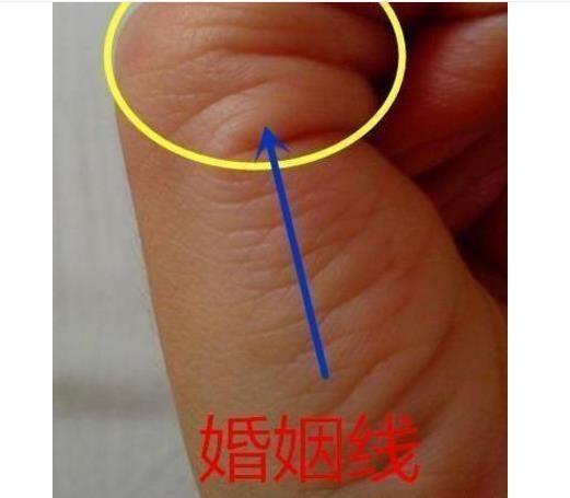 无名指比食指长的婚姻