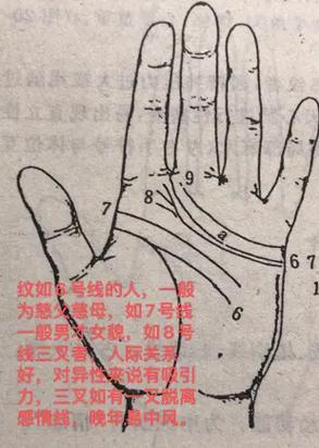 手纹、手指、手心看法