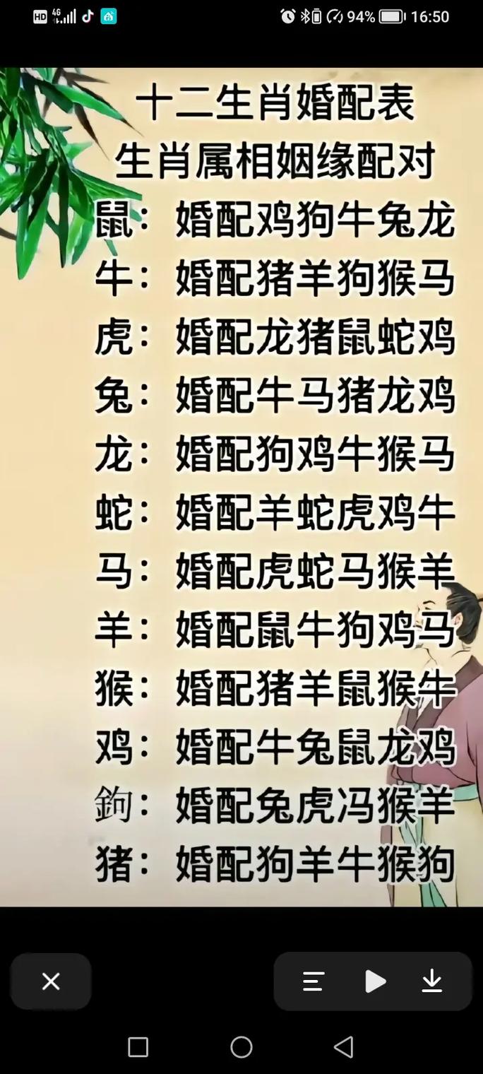 男狗女羊婚姻怎么样