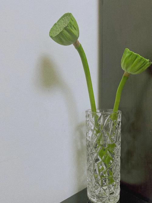 梦见别人给自己送花