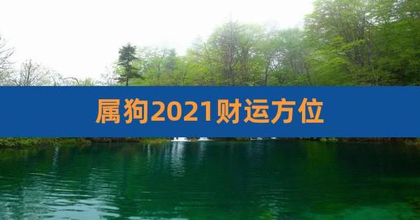 属狗2021年有利方位是哪里