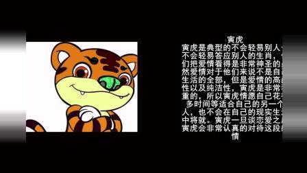 交往时动情而不专情的生肖都是哪些