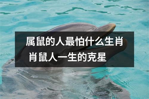 属鼠人一生最大克星