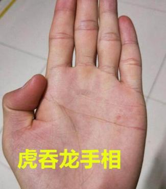 虎吞龙手相男 龙吞虎手相不多