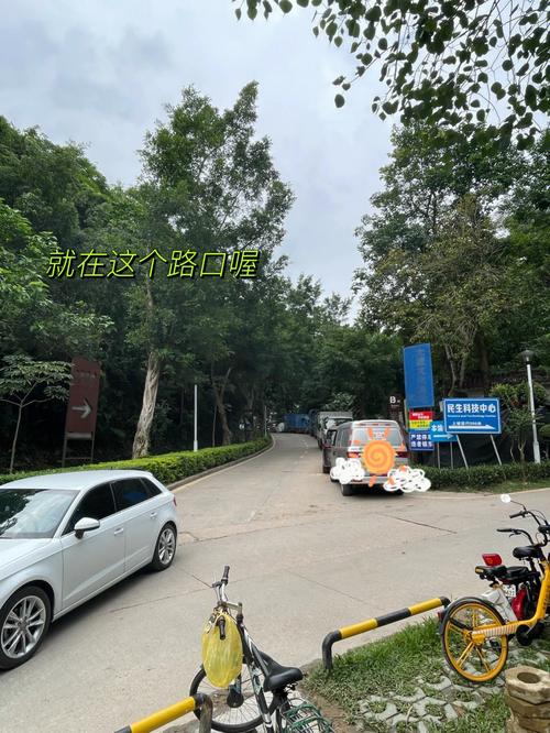 井泉水命的人财运好不好,井泉水命适合什么工作?