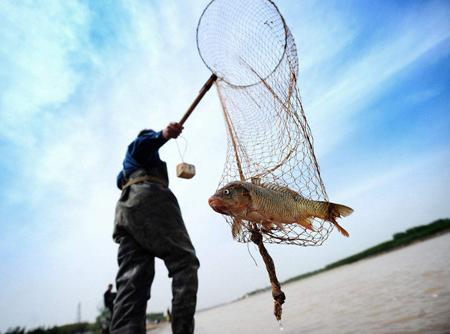梦见河里抓鱼 周公解梦之梦到河里抓鱼