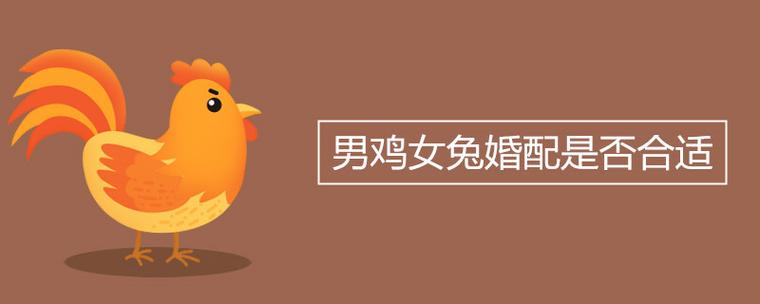 男兔女鸡合婚吗