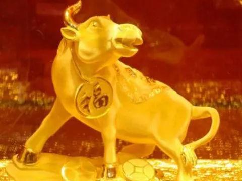 属牛能成为金融界的佼佼者吗