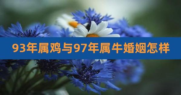 97年牛女与93年鸡男可以结婚吗