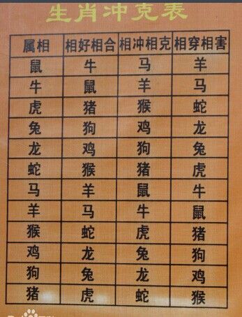 属羊女会怎么介绍自己的男票