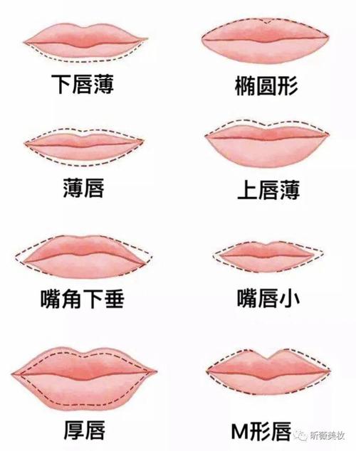 嘴唇类型有哪几种