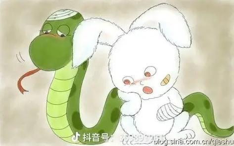 男蛇盘女兔上等婚还是断头婚