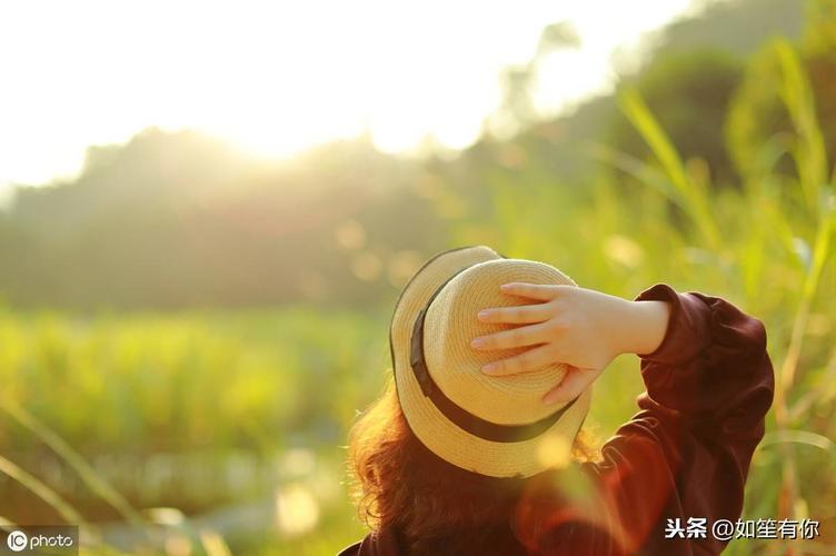B型血人的爱情转移