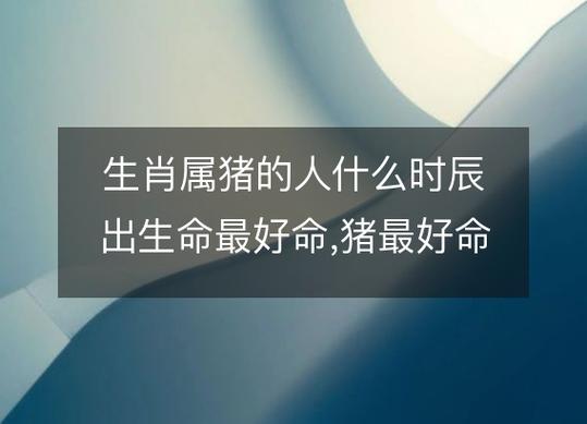 属猪的人什么时辰出生最好最有福气