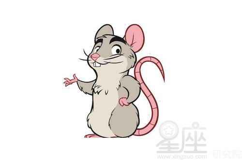 84年属鼠的三大劫难 什么灾难最可怕?