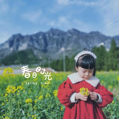 梦见油菜花开