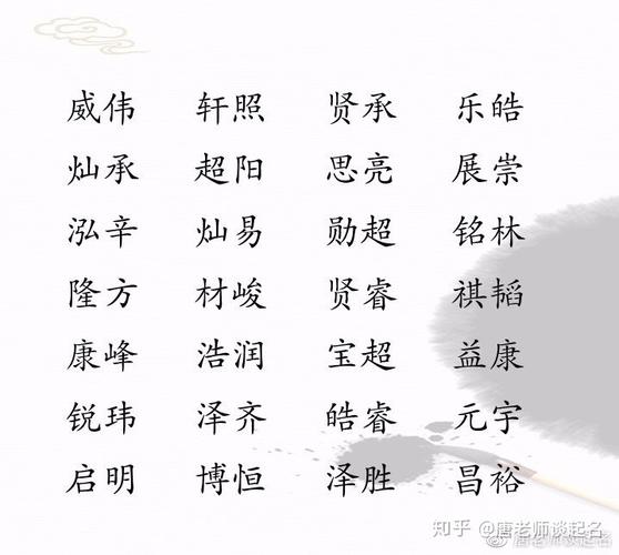 向姓猪年男宝宝名字