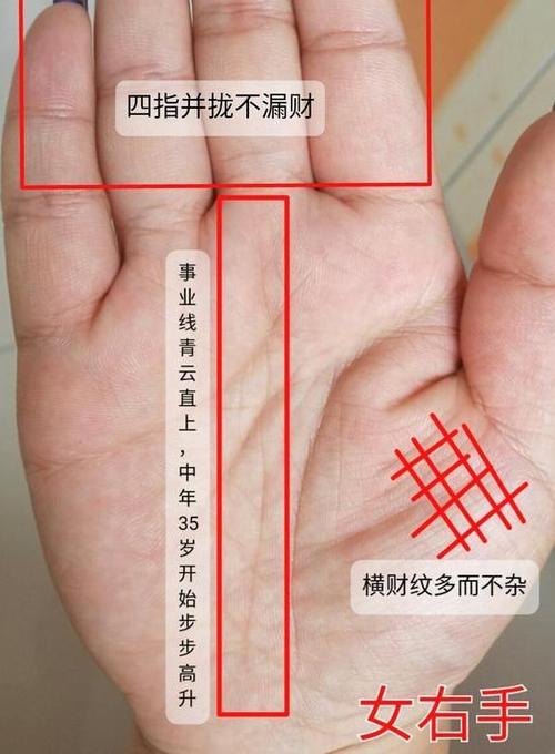 富贵手相有几种