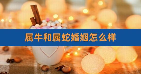 属蛇金牛男生喜欢怎样的女人